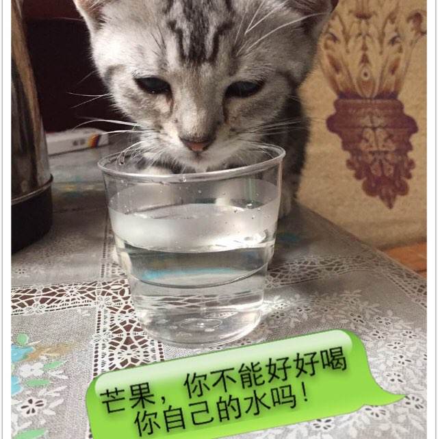 办河北资格证